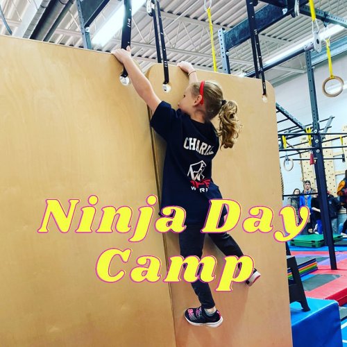 Photo post from apexwarriorfitness.