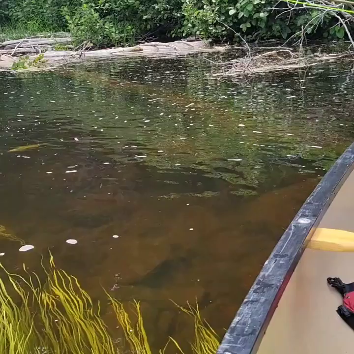 Carousel post from reddogguideservice.