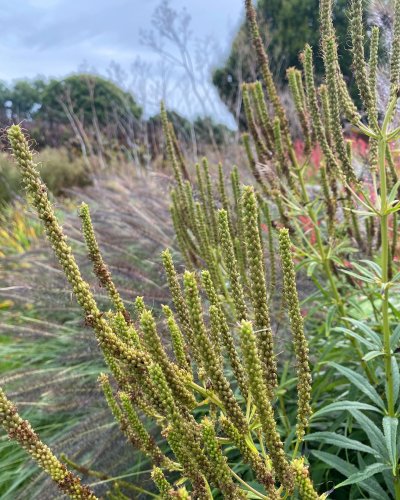 Photo post from sussexprairies.