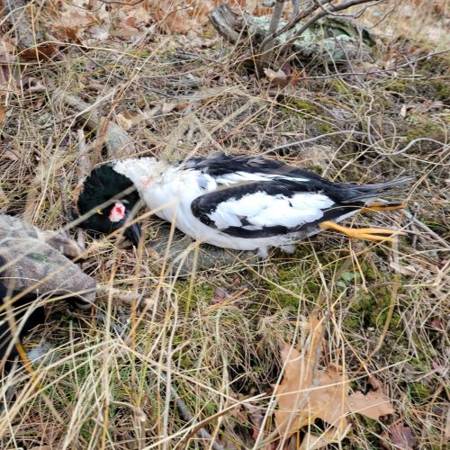 Photo post from reddogguideservice.