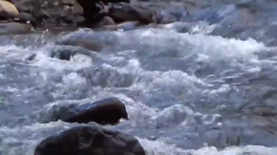 Video post from erichstem.