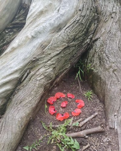 Photo post from monica.mody.