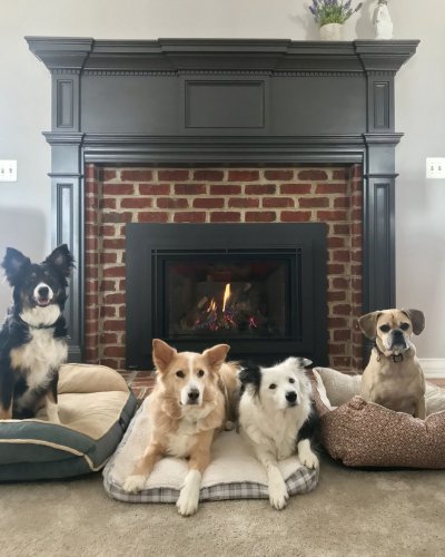 Photo post from regencyfire.