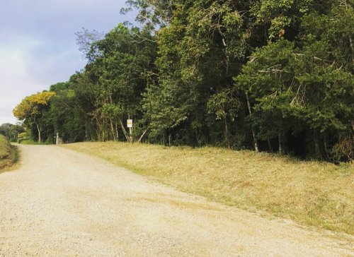 Carousel post from imobiliariammocelin.