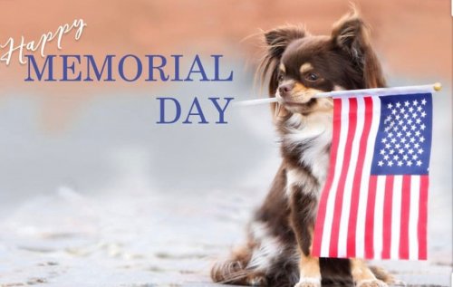 Photo post from familyanimalhospitalcm.