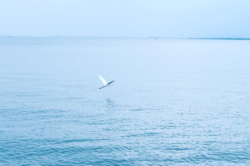 約束を見る びわ湖との約束 大募集