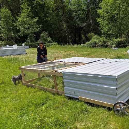 Carousel post from hungryhollowfarm.