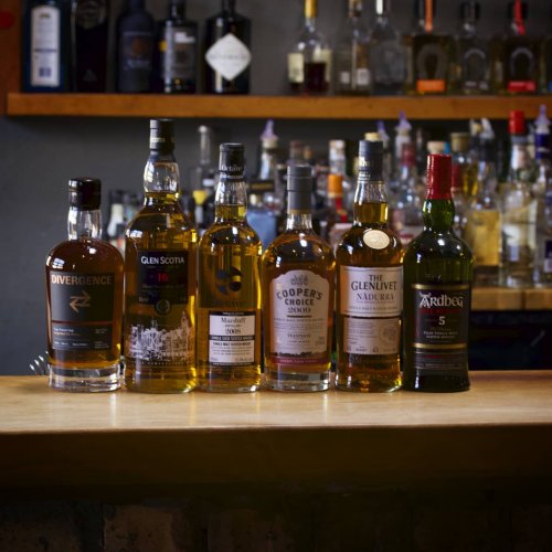 Photo post from wonderhorsebar.