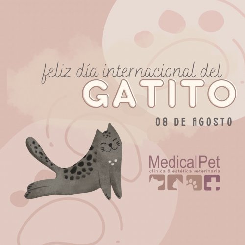 Photo post from medicalpettj.