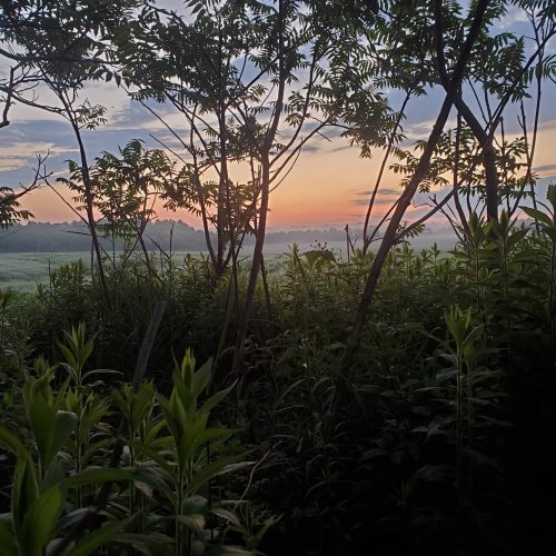 Photo post from reddogguideservice.