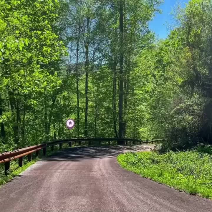 Video post from bhhsmmr.