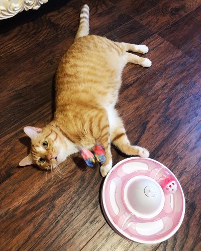 Photo post from margaritabloom.