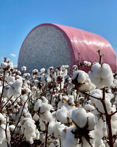 Photo post from howefarming.