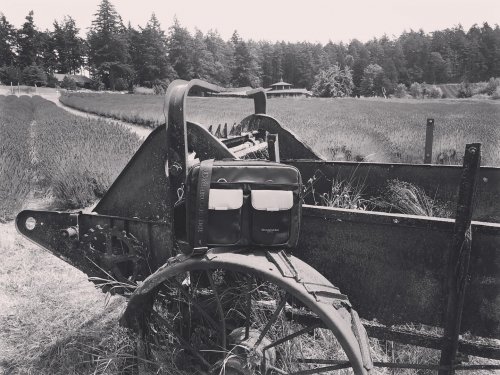 Photo post from dreamcomber.