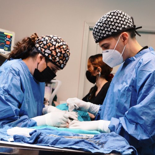 Photo post from medicalpettj.