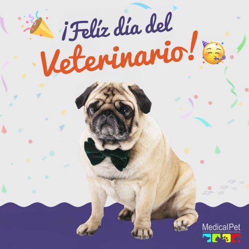 Photo post from medicalpettj.