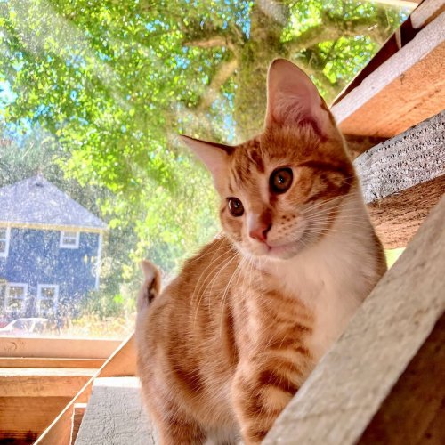 Carousel post from hungryhollowfarm.