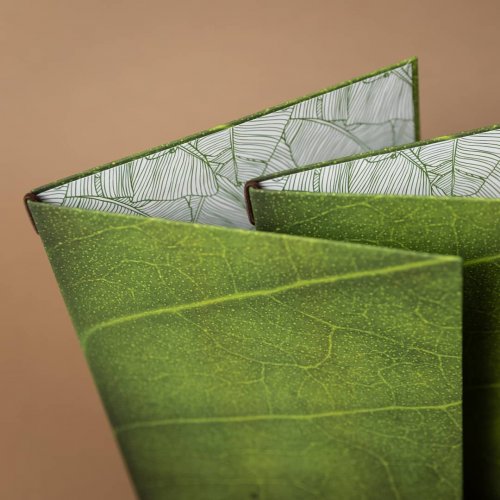 Photo post from elasticmenu.