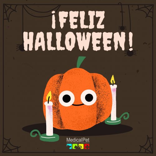 Photo post from medicalpettj.