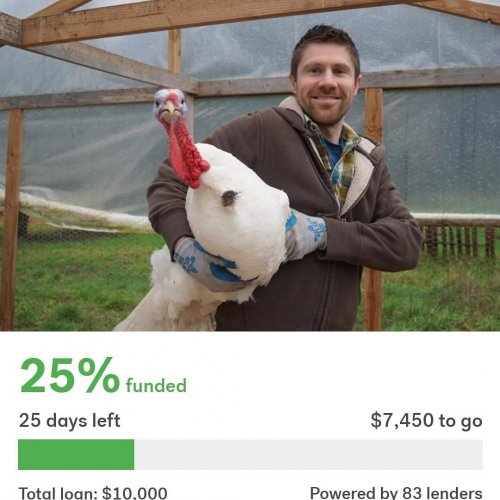 Photo post from hungryhollowfarm.