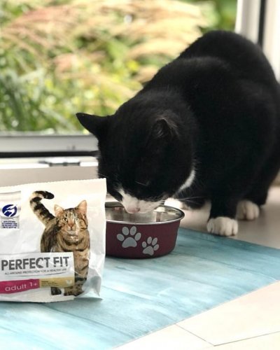 Photo post from nils.brun.