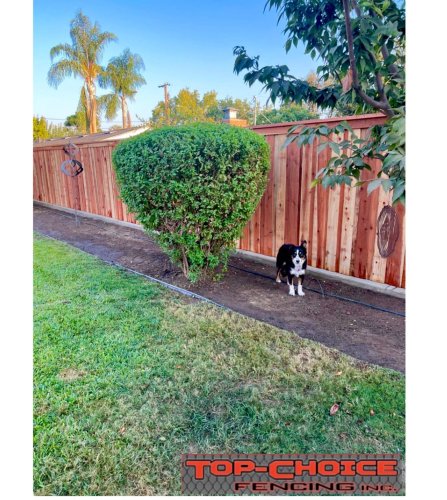 Carousel post from topchoicefencing.