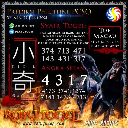 Photo post from bocorantogeltotomacau.