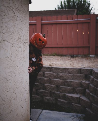 Photo post from topchoicefencing.