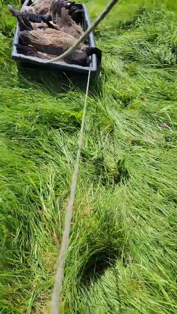 Video post from reddogguideservice.