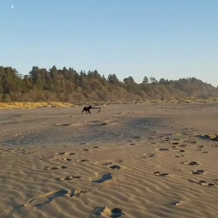 Video post from muddywaterscoffeecompany.