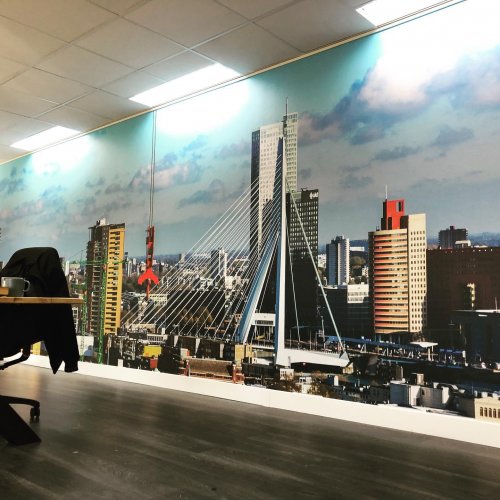 Photo post from signkings.