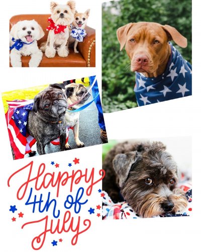 Photo post from familyanimalhospitalcm.