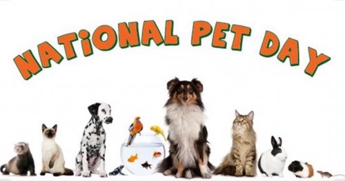 Photo post from familyanimalhospitalcm.