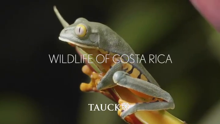 Video post from taucktravel.