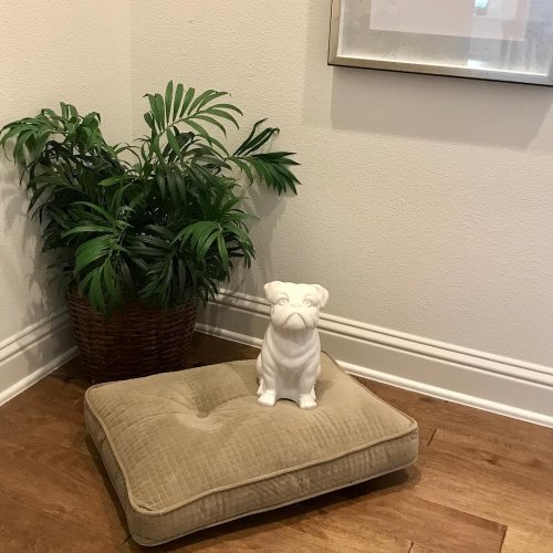 Photo post from kerisellsaustin.