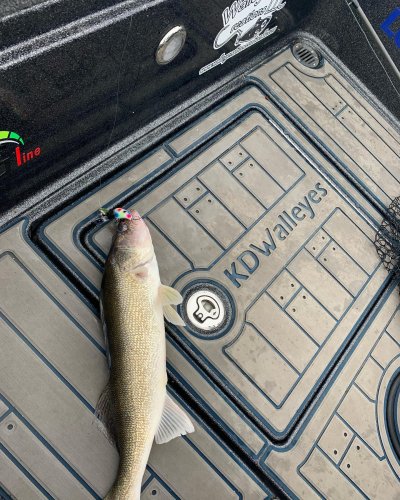 Carousel post from epolodgefishingteam.