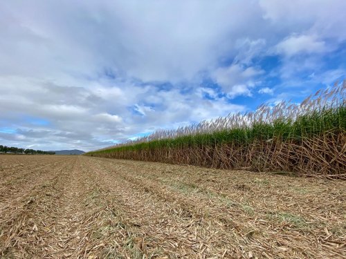 Photo post from howefarming.