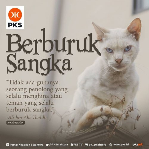 PostPhoto