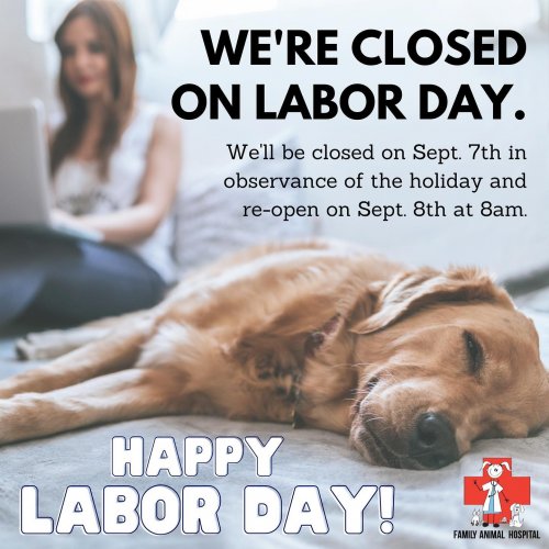 Photo post from familyanimalhospitalcm.