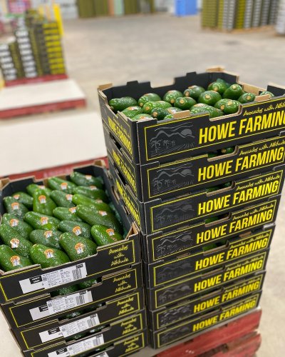 Photo post from howefarming.