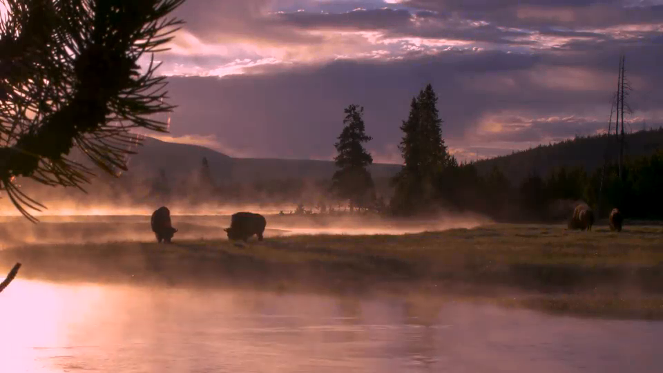 Video post from taucktravel.