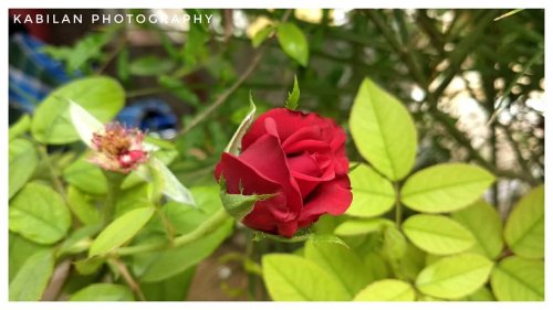 PostPhoto