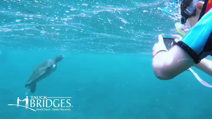 Video post from taucktravel.