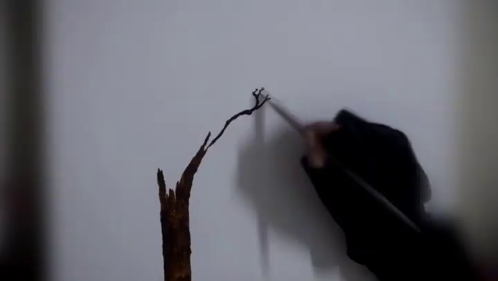 Video post from ira.martelo.