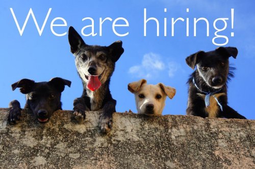 Photo post from familyanimalhospitalcm.