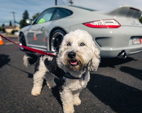 Carousel post from porschewarrington.