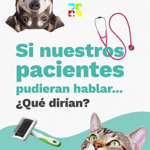 Carousel post from medicalpettj.