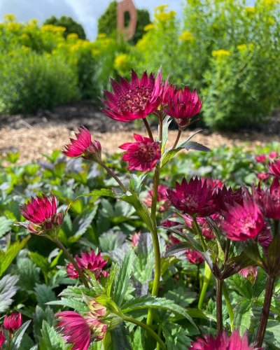 Photo post from sussexprairies.