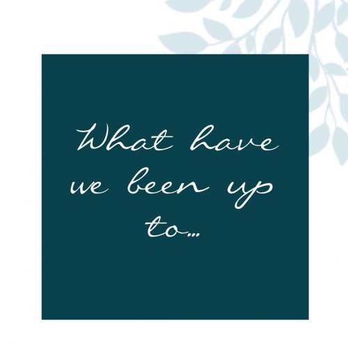 Carousel post from glasshouseretreat.