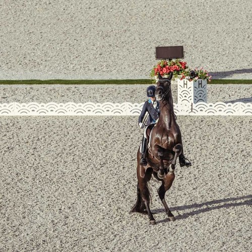 Photo post from fei_global.